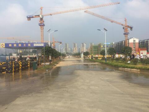 20250219133691.jpg 2711787.jpg