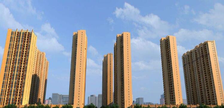 20250219208962.jpg 27182714954.jpg