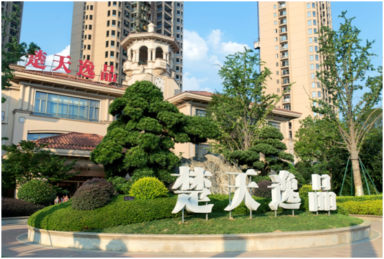 20250220982630.png 1911335039.png